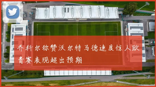 乔科尔称赞沃尔特马德速度惊人欧青赛表现超出预期